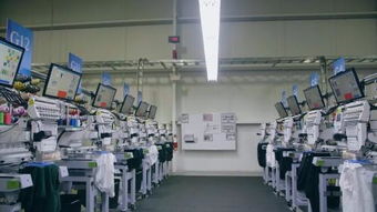 科技发展与技术开发的互动共生